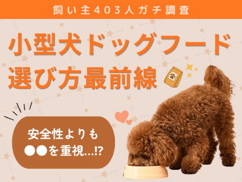 【飼い主403人に調査】小型犬のドッグフード選び、“安全性より●●を重視”という意外な結果に