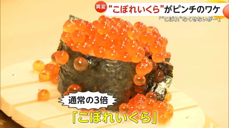 “こぼれいくら”が大ピンチ　北海道で“異変”…秋サケが歴史的な不漁に　サケの切り身が3切れ755円で前年比約100円アップ｜FNNプライムオンライン