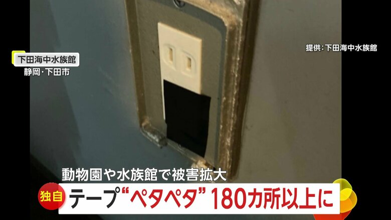 【独自】謎のテープをコンセントに貼り付ける迷惑行為…静岡県内5つの動物園や水族館で180カ所以上　防犯カメラには女の姿も｜FNNプライムオンライン