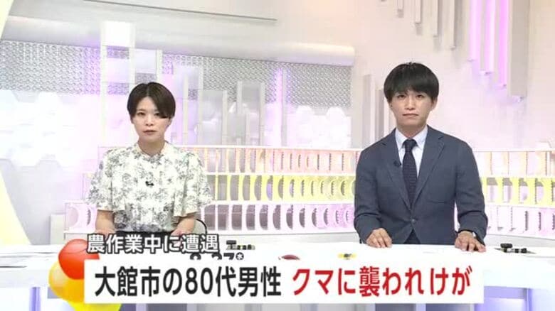 農作業中の80代男性、クマに襲われる　右腕負傷し病院に運ばれる　意識あり会話可能　秋田・大館市｜FNNプライムオンライン