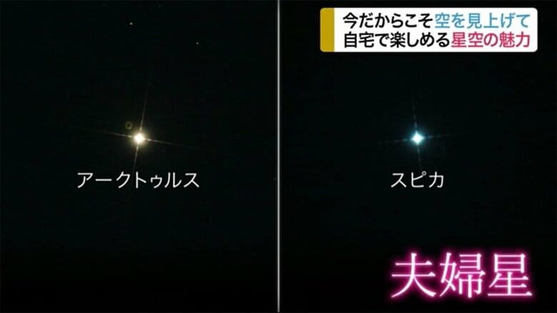 今だからこそ夜空を見上げて…おうち時間にオススメ「星空鑑賞」　仙台市天文台｜FNNプライムオンライン