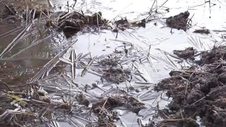 朝の冷え込み厳しく　勝山や福井で今季最低気温を記録　大野ではマイナス2.9度、越廼でマイナス2.5度と1月下旬並み｜FNNプライムオンライン