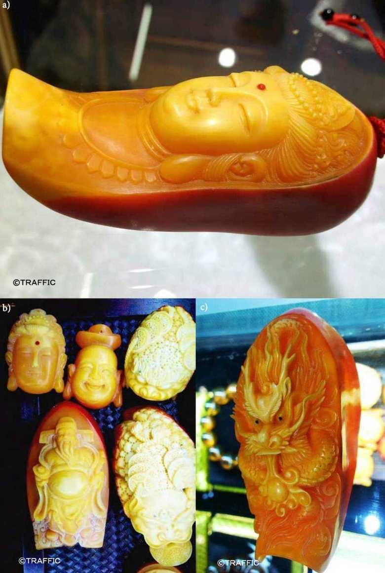 オナガサイチョウのくちばしや頭部で作られた彫刻