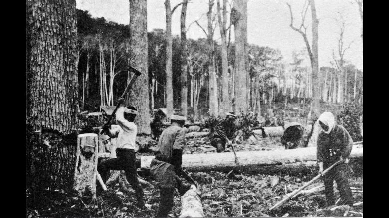 提供：清水町教育委員会