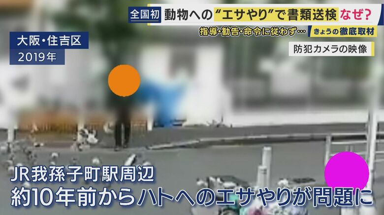 “悪質なエサやり”