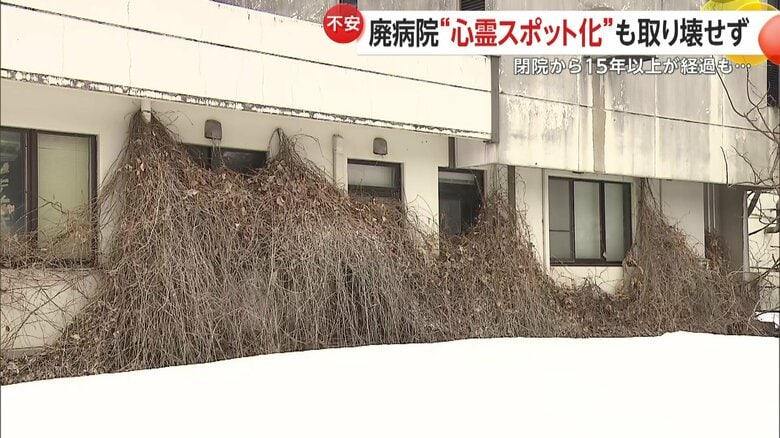 許可を得て撮影