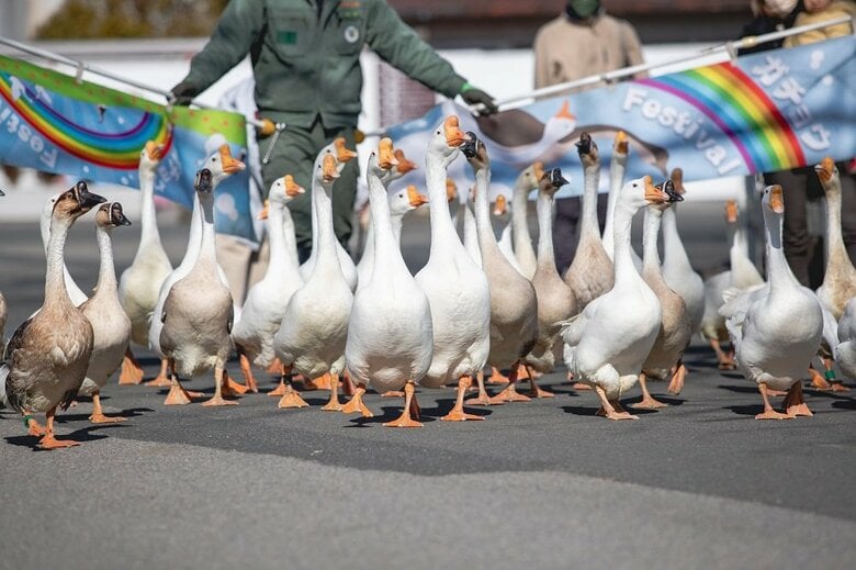 実は後ろからプレッシャーをかけられていた（提供：まめさん）