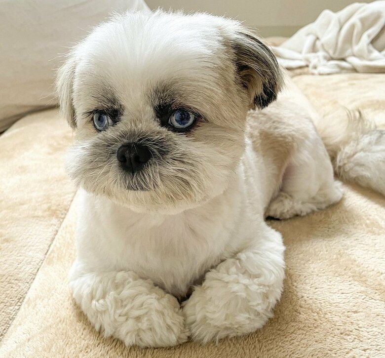 意図せずにすごい目つきになるというキレイな瞳