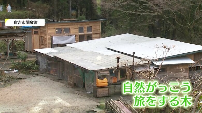 自然がっこう「旅をする木」