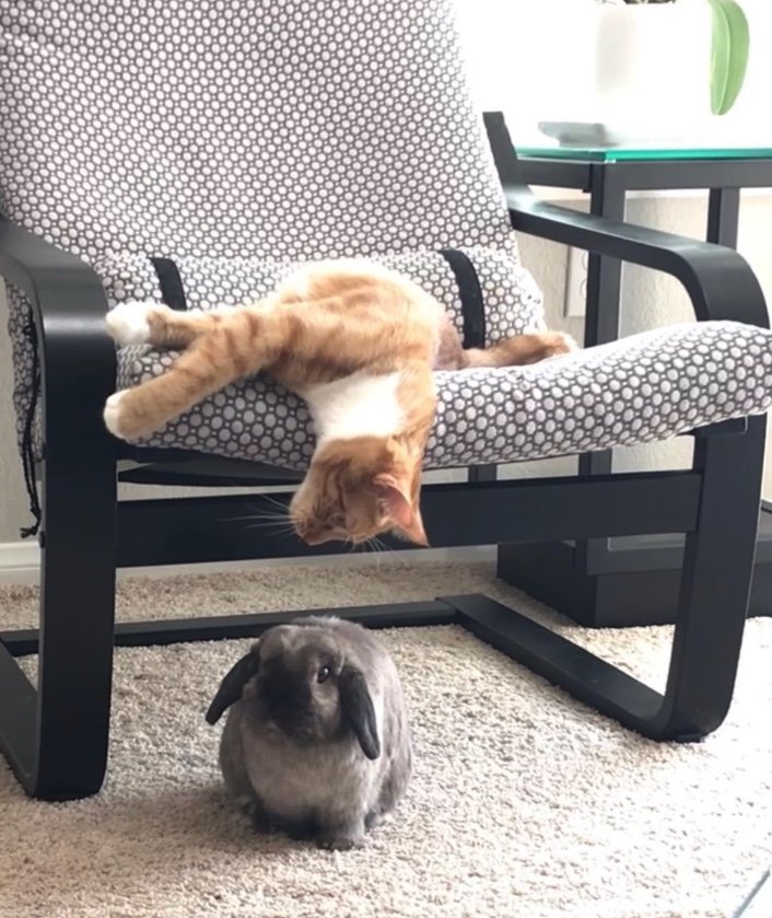 提供：和泉ユタカさん