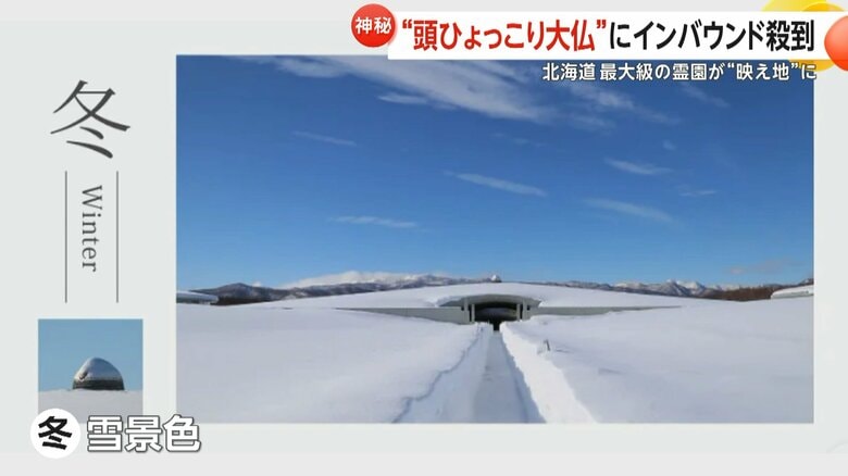 冬は雪に覆われる真駒内滝野霊園の頭大仏