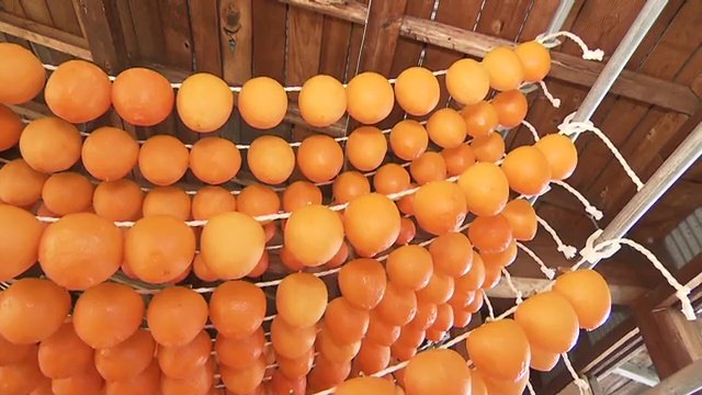 伊達市梁川町五十沢地区は「あんぽ柿」発祥の地