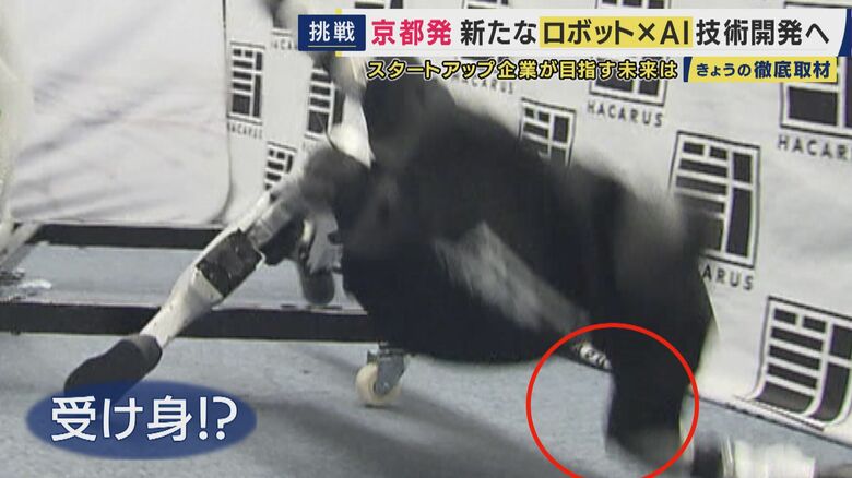 ハカルンちゃん　転び方にも"知性"が宿る