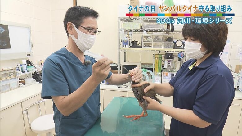 （左）どうぶつたちの病院沖縄　長嶺隆医師