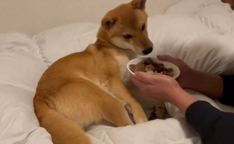 焼き上がったお肉と文旦くん