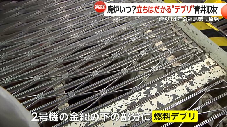 金網の下に燃料デブリがあるという2号機と同じ5号機内部
