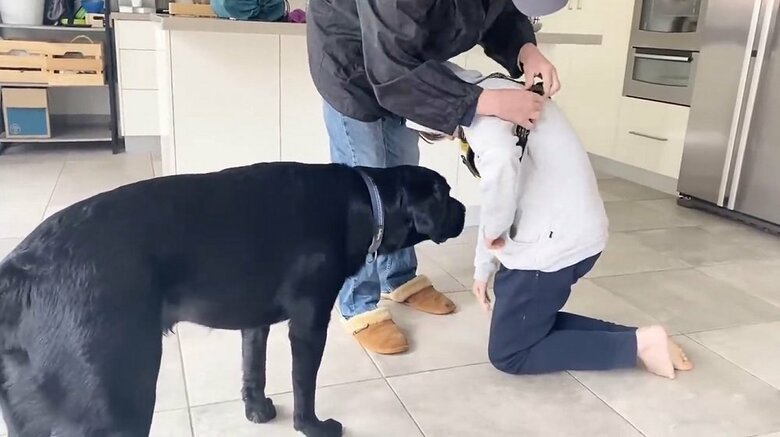 ハーネスを装着する長男　気になるえんぞうくん