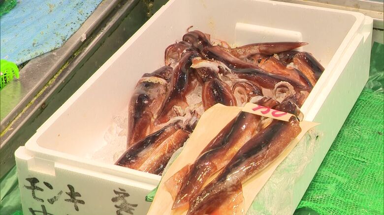 朝に水揚げされた新鮮な「いけすイカ」