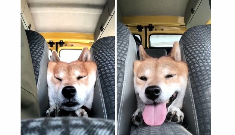 “変顔”の時もあれば、笑顔の時も…