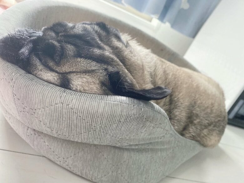 提供：ボンさん