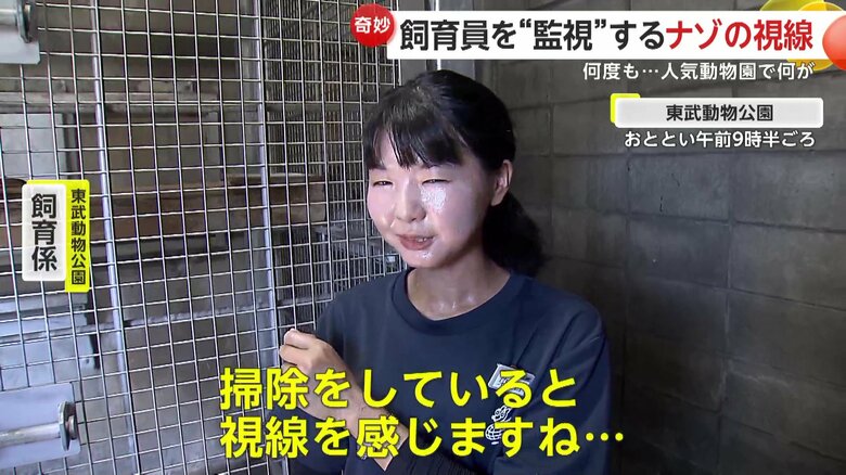 「掃除をしていると視線を感じますね…」と話す飼育員