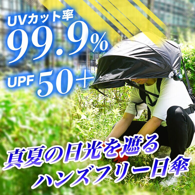 提供：サンコー