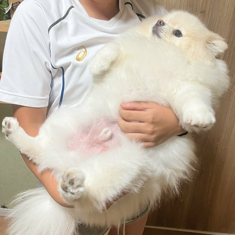 抱っこされたちくわくん。テンションMAXだったというが…。