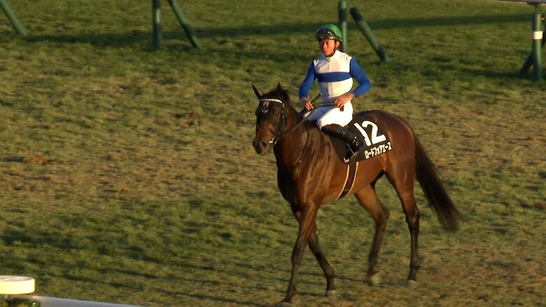 ロードフォアエース