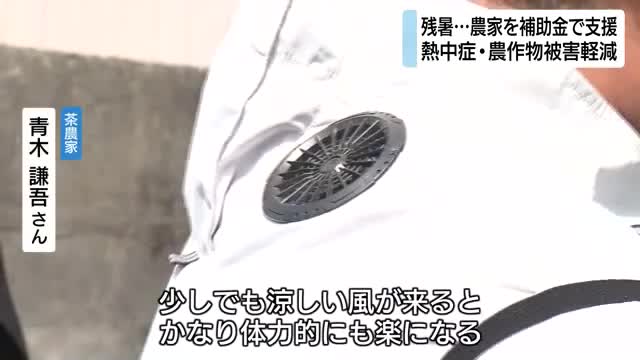 続く残暑…農家を補助金で支援　熱中症や農作物被害を軽減　茶農家はファン付き作業服7着購入