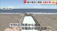 【謎】「手を触れないで」茅ヶ崎の海辺に異変！水路が突然“真っ白”に…簡易調査で有害物質確認されずも注意呼びかけ　神奈川