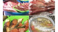 採算度外視…朝獲れ鮮魚のバケツ売り、すぐに作った干物で「客の心つかむ」　コロナ禍の観光市場が続ける挑戦