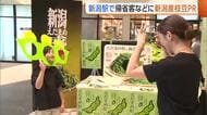 新潟県“枝豆”の消費量・生産量全国1位も認知度低く…帰省客・観光客でにぎわう新潟駅でおいしさPR「1回食べてほしい」