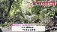 台風30号は温帯低気圧に　大分県内は断続的に雨　別府市では倒木被害　現場は一時通行止めに