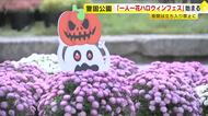 ハロウィーン期間は今年も夜間封鎖に　福岡市の警固公園　日中は「花で楽しむハロウィーン」の会場に　カボチャのランタンなどで装飾
