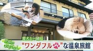 創業“ワンワンワン”（111年目）　ワンちゃん大歓迎　老舗温泉旅館の“ワン”ダフルなおもてなし【静岡発】