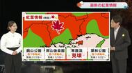 【光岡気象予報士のお天気解説】１１月１５日のポイント「週末は行楽日和に」