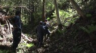白神山地保護に向け…ニホンジカ監視用のカメラ設置 秋田・八峰町