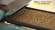 市場デビューを前に最後の試験栽培 秋田県の新ブランド米「サキホコレ」の種まき