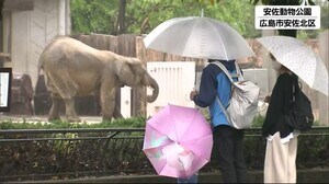 こどもの日 安佐動物公園が無料開放 広島市