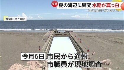【謎】「手を触れないで」茅ヶ崎の海辺に異変！水路が突然“真っ白”に…簡易調査で有害物質確認されずも注意呼びかけ　神奈川
