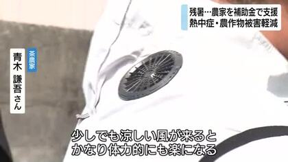 続く残暑…農家を補助金で支援　熱中症や農作物被害を軽減　茶農家はファン付き作業服7着購入