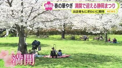 静岡県内は各地でサクラ満開！川根路彩る緑とピンク「パーシー」号との“コラボ”も