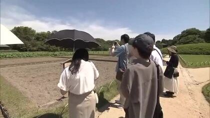 瀬戸内海を越えて縁結びを…岡山県と香川県が結婚希望の県民支援で初の合同イベント【岡山・香川】