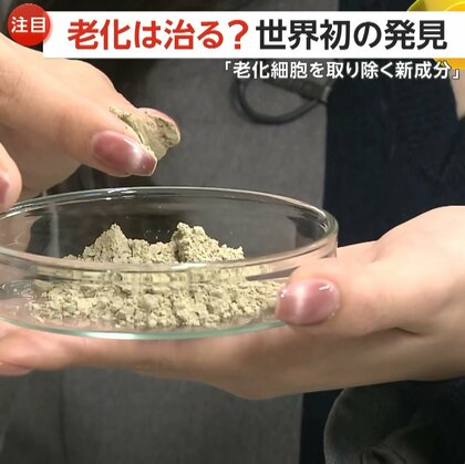 「老化は治る？」ファンケルが世界初“老化細胞取り除く新成分”発見　健康寿命の増進へ…サプリメントとして今春発売予定