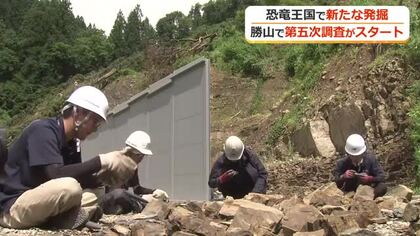 “新種”の恐竜化石発見に期待　福井県の第五次発掘調査が始まる　過去最大7700平米を最長20年で調査　新設の県立大恐竜学部の学生も参加