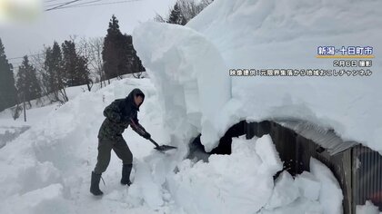 【危険】記録的な大雪で「落雪」被害相次ぐ…危険な落雪の瞬間　魚沼産コシヒカリも大打撃　コメ農家「コメ作りはもう無理かなと正直思った」・新潟