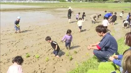 園児たちがアフリカ支援米を田植え【熊本】