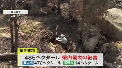 焼失面積は４８６ヘクタールで最大の被害…岡山市の大規模山林火災　市が詳しい調査結果を発表【岡山】