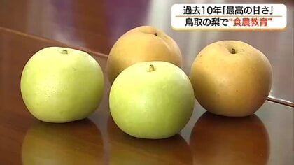 過去10年で最高の甘さ！「二十世紀梨」と「新甘泉」を市長に　子ども食堂の支援にも提供（鳥取・倉吉市）