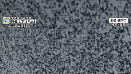 空が突然真っ黒…鳥の大群に「ヘリコプターかと」　朝鮮半島で越冬の渡り鳥が日本まで